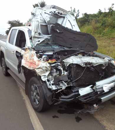Médico paraguaçuense colide caminhonete em animal solto na pista